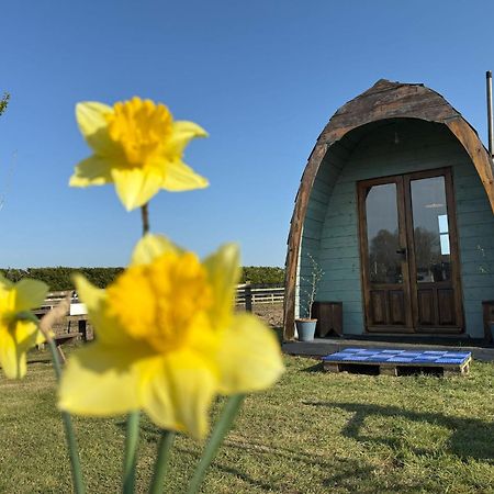 Skipbridge Farm Glamping York Exterior photo